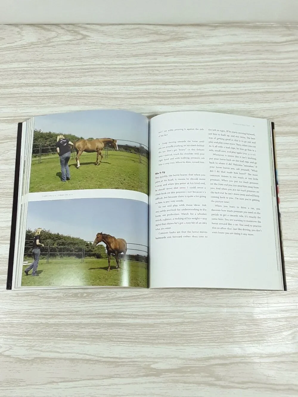 2 Book Lot- 3-Minute Horsemanship, Horse Agility Handbook Vanessa Bee equestrian